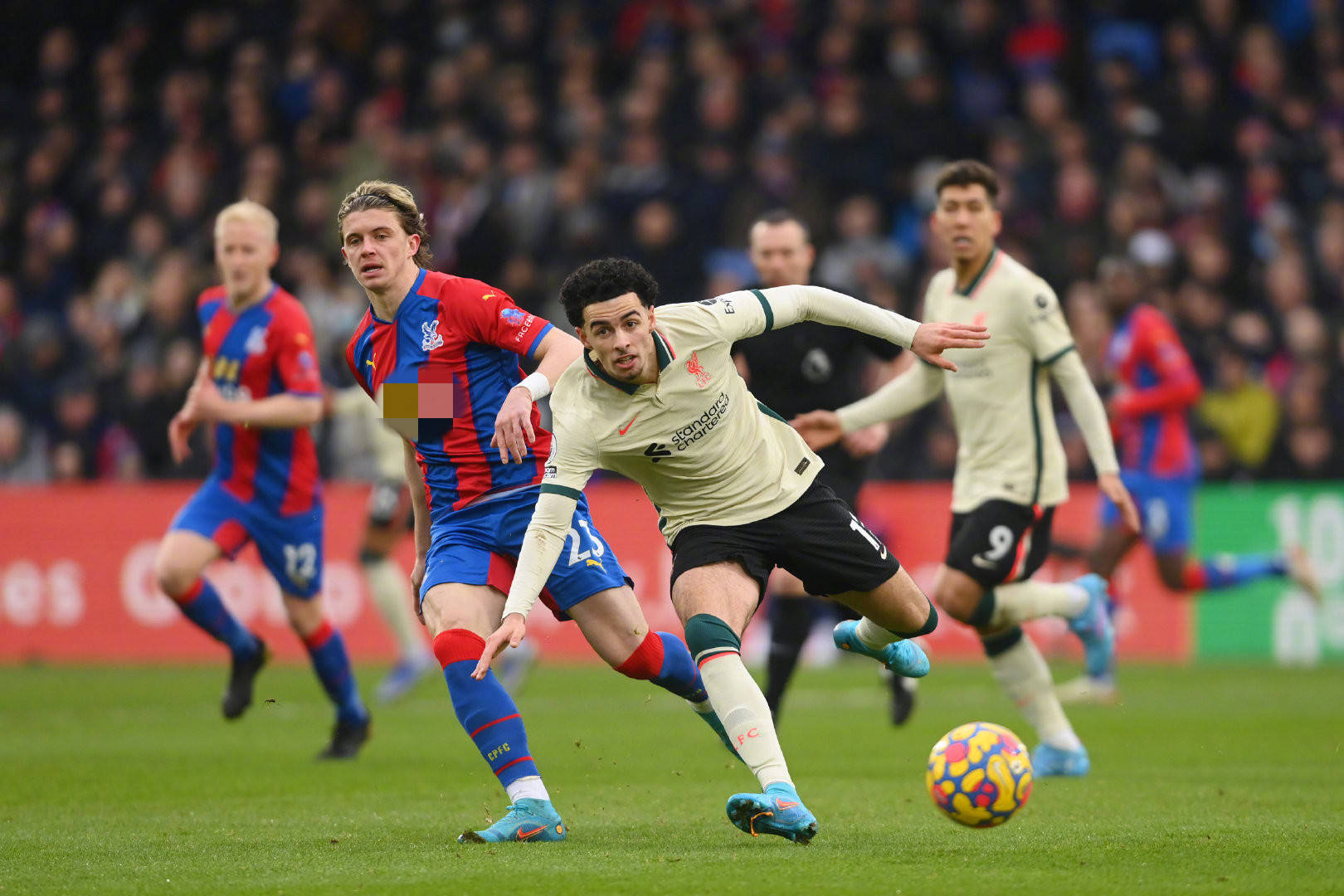 都将对双方 都将对双方