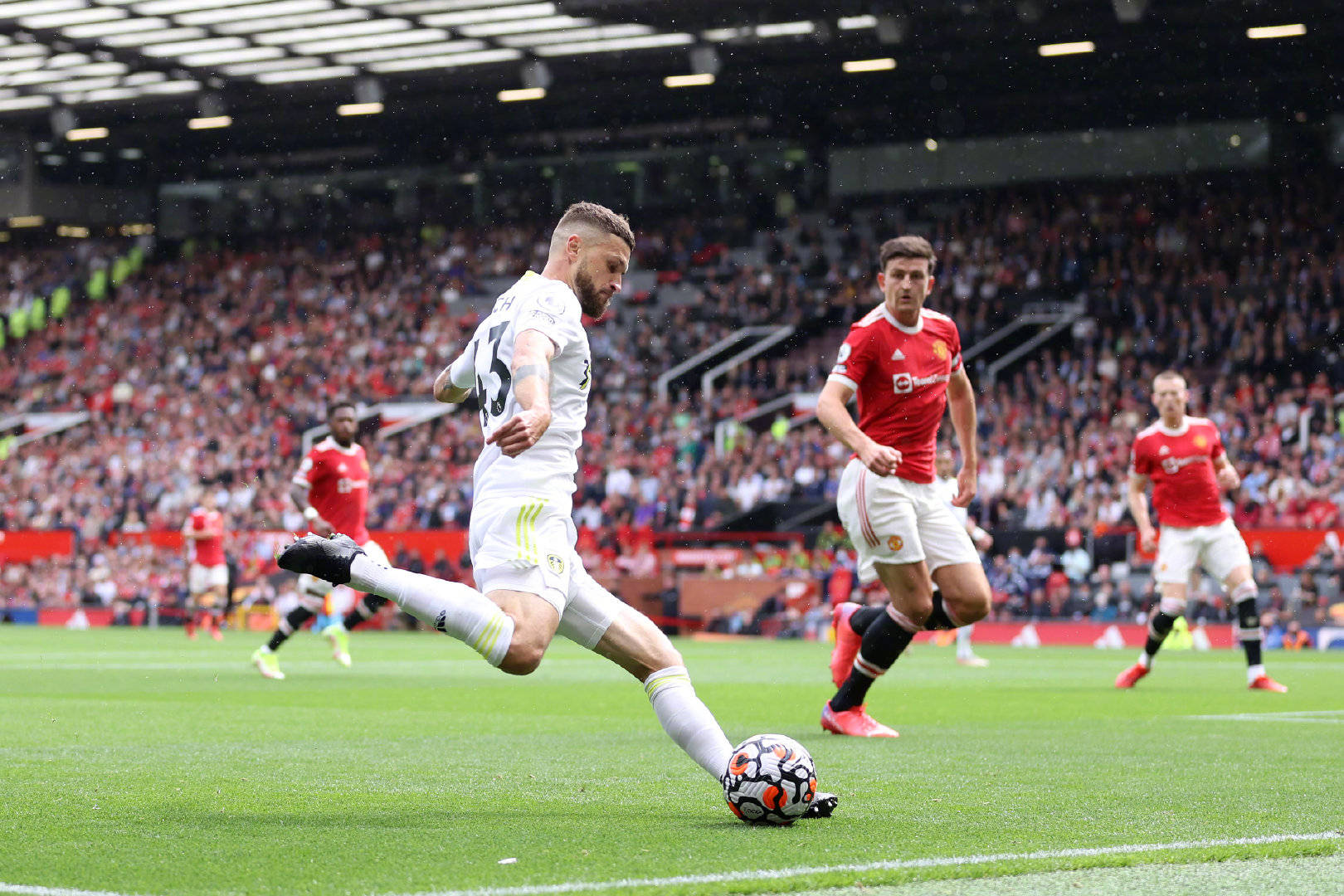 敏锐嗅觉以 敏锐嗅觉以